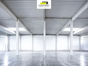 Pronájem výrobních prostor, Bor - Nová Hospoda, 19895 m2