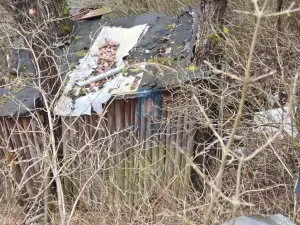 Prodej chaty, Újezd nade Mží, 25 m2