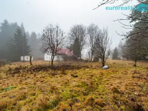 Prodej rodinného domu, Kraslice - Černá, 192 m2