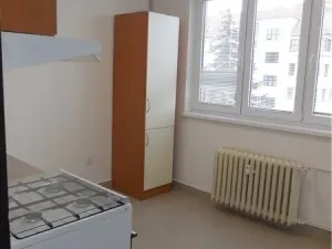 Pronájem bytu 1+1, České Budějovice - České Budějovice 3, Nerudova, 39 m2