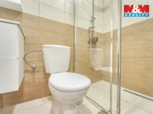 Prodej rodinného domu, Chotěšov, Starý mlýn, 353 m2