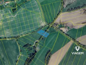 Prodej podílu pole, Borotín, 460 m2
