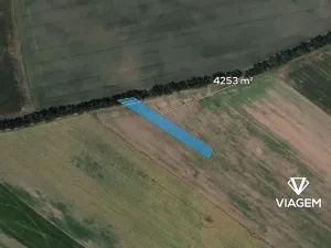 Prodej podílu pole, Prušánky, 1417 m2