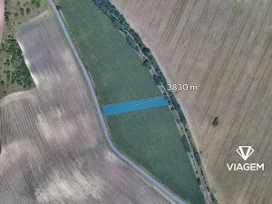 Prodej podílu pole, Valtice, 979 m2