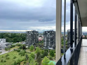 Pronájem bytu 2+kk, Praha - Žižkov, Pitterova, 87 m2