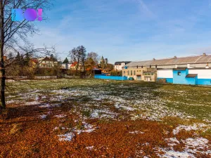 Prodej komerčního pozemku, Český Těšín, 3823 m2