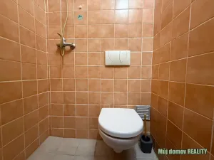 Pronájem bytu 1+kk, Praha - Dolní Chabry, Prunéřovská, 20 m2