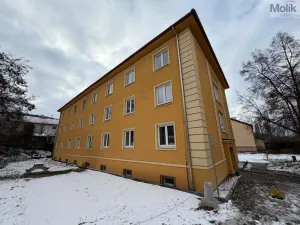 Pronájem bytu 1+1, Most, Lesní, 30 m2