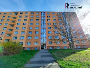 Pronájem bytu 1+1, Sokolov, Švabinského, 39 m2