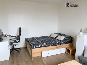 Pronájem bytu 1+1, Sokolov, Švabinského, 39 m2