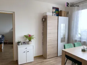 Pronájem bytu 1+1, Sokolov, Švabinského, 39 m2