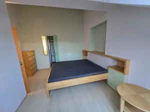 Pronájem bytu 3+kk, Brno, Skřivanova, 111 m2