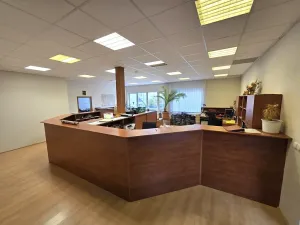 Pronájem výrobních prostor, Brno, Franzova, 785 m2