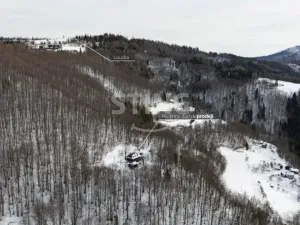 Prodej rodinného domu, Bystřice, 294 m2