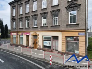 Prodej bytu 4+1, Český Těšín, Ostravská, 163 m2