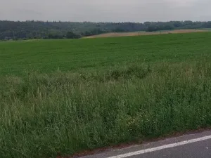 Prodej pole, Chuchelná, 2417 m2