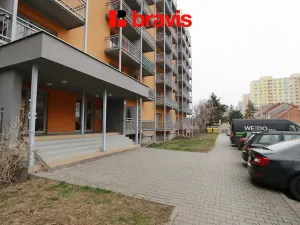 Pronájem bytu 1+kk, Brno - Královo Pole, Božetěchova, 23 m2