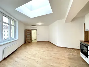 Pronájem bytu 2+kk, Hradec Králové, Švehlova, 47 m2