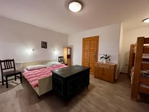 Prodej rodinného domu, Orlické Podhůří, 267 m2