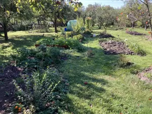 Prodej rodinného domu, Orlické Podhůří, 267 m2