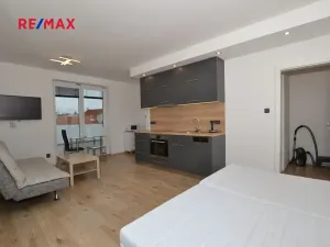 Pronájem bytu 1+kk, Plzeň, Na Roudné, 41 m2