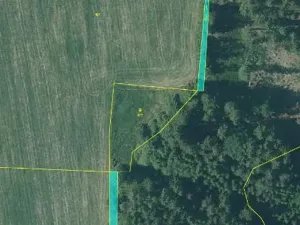 Prodej lesa, Nová Bystřice, 708 m2