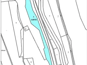 Prodej lesa, Brtnice, 7135 m2