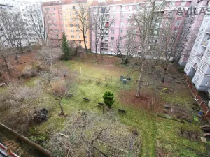 Pronájem bytu 2+kk, Praha - Žižkov, Biskupcova, 57 m2