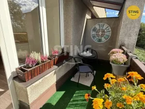 Prodej bytu 1+kk, Frýdek-Místek, Hasičská, 27 m2