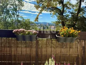 Prodej bytu 1+kk, Frýdek-Místek, Hasičská, 27 m2