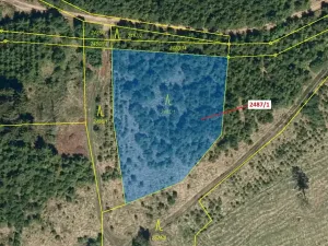 Dražba lesa, Kateřinice, 2083 m2