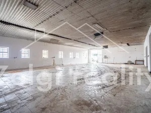 Pronájem výrobních prostor, Milotice, 550 m2