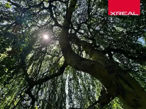 Prodej rodinného domu, Kamenice, Lomená, 157 m2