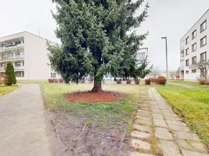 Prodej bytu 3+1, Týnec nad Sázavou, Jílovská, 71 m2