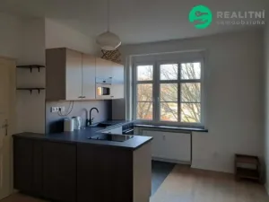 Pronájem bytu 2+kk, Ústí nad Labem, Palachova, 46 m2