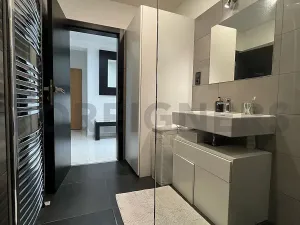 Pronájem bytu 3+kk, Olomouc, Horní lán, 67 m2