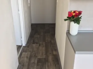 Pronájem bytu 2+1, Ostrava - Hrabůvka, Dr. Martínka, 52 m2