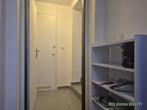 Pronájem bytu 1+kk, Praha - Vinohrady, Francouzská, 60 m2