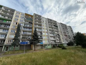 Prodej bytu 4+1, Litvínov - Janov, Hamerská, 79 m2