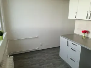 Pronájem bytu 2+1, Ostrava, Dr. Martínka, 50 m2