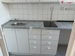 Pronájem bytu 1+kk, Praha - Michle, Týmlova, 23 m2