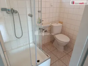 Pronájem bytu 1+kk, Praha - Michle, Týmlova, 23 m2