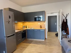 Pronájem bytu 1+kk, Ústí nad Labem - Ústí nad Labem-centrum, Velká Hradební, 40 m2