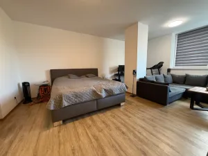 Pronájem bytu 1+kk, Ústí nad Labem - Ústí nad Labem-centrum, Velká Hradební, 40 m2