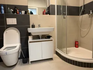 Pronájem bytu 1+kk, Ústí nad Labem - Ústí nad Labem-centrum, Velká Hradební, 40 m2