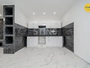 Prodej vícegeneračního domu, Český Těšín, Ropická, 387 m2