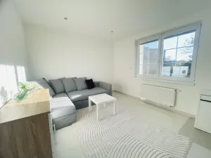 Pronájem bytu 1+1, Veselí nad Moravou, Rybáře, 40 m2