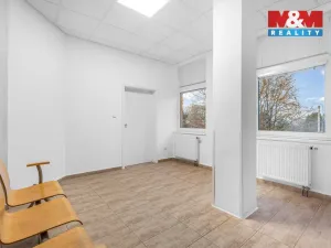 Pronájem obchodního prostoru, Ústí nad Labem - Severní Terasa, Šrámkova, 33 m2