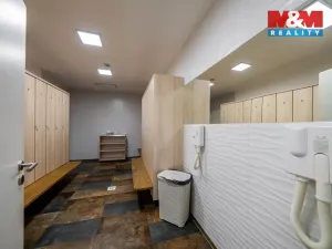 Prodej rodinného domu, Frýdlant nad Ostravicí - Lubno, 533 m2