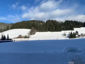Prodej pozemku pro bydlení, Velké Karlovice, 45173 m2